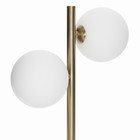 Лампа настольная декоративная Citilux «Рунд» CL205820N 28х49 см, 2х4.5Вт, G9, цвет коричневый - Фото 6