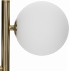 Лампа настольная декоративная Citilux «Рунд» CL205820N 28х49 см, 2х4.5Вт, G9, цвет коричневый - Фото 7
