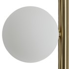 Лампа настольная декоративная Citilux «Рунд» CL205820N 28х49 см, 2х4.5Вт, G9, цвет коричневый - Фото 8