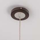 Светильник подвесной Citilux «Берта» CL126112, 12х12х45 см, 1х75Вт, E27, цвет коричневый - Фото 10