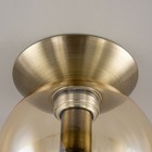 Светильник накладной Citilux «Томми» CL102513, 15х15 см, 1х40Вт, E14, цвет коричневый - Фото 9
