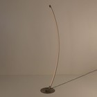 Торшер Citilux «Руди» CL804031, 26х150 см, 1х12Вт, LED, цвет серый - Фото 14