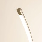 Торшер Citilux «Руди» CL804031, 26х150 см, 1х12Вт, LED, цвет серый - Фото 3