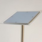 Торшер с подсветкой Citilux «Харди» CL802011 28х182 см, 2х15Вт, LED, цвет серый - Фото 14