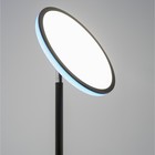 Торшер Citilux CLick CL810021, 25х25х177 см, 1х42Вт, LED, цвет черный - Фото 6