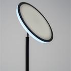 Торшер Citilux CLick CL810021, 25х25х177 см, 1х42Вт, LED, цвет черный - Фото 7