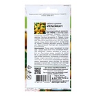 Семена Кабачок «Апельсинка», F1, 0.3 г - Фото 2