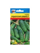 Семена Огурец «Среднерусский сорванец», F1, «УРОЖАЙ УДАЧИ» - Фото 5