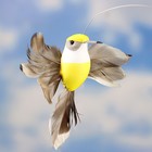 Штекер летающий "Птичка", микс - фото 8727879