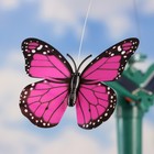 Штекер летающий "Бабочка", микс - фото 8727885