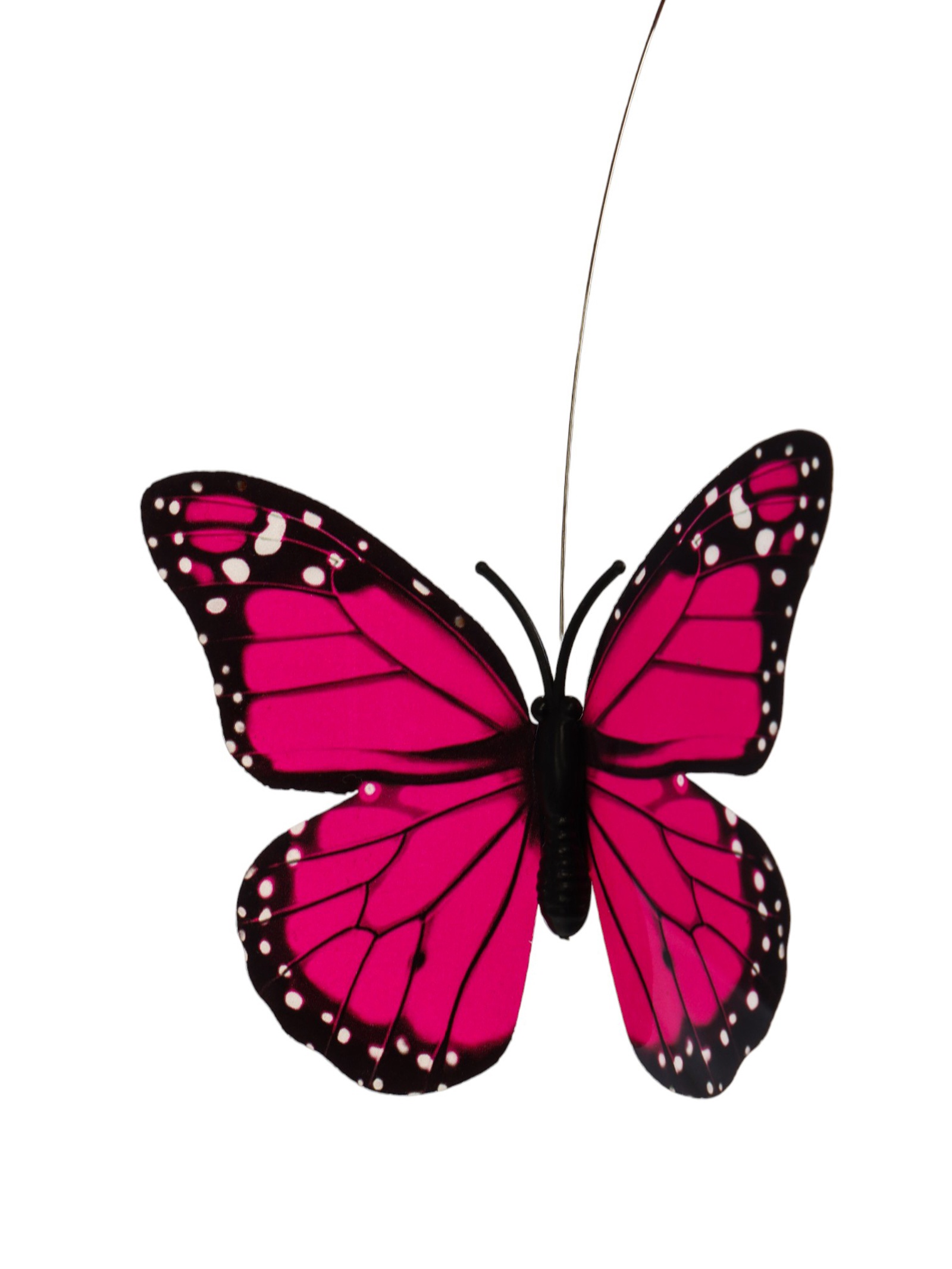 butterfly photos Fantastic Friday: Kathleen Baldwin's Heartbreak & Heartache - T