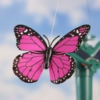 Штекер летающий "Бабочка", микс - фото 8727888