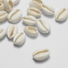 Бусины для творчества «Ракушка», 2×1 см, необычная,14-18 мм, набор 20 шт., цвет белый - Фото 2