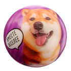 Мяч детский мягкий «Играй с друзьями: Питомцы», 4.5 см, в шоубоксе - Фото 2