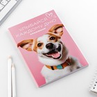Ежедневник в тонкой обложке А5, 72 листа «Собака» - Фото 4