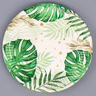 Набор бумажной посуды одноразовый декор «Эко», 6 тарелок, 6 стаканов, 1 гирлянда, декор фотозоны - фото 4613917