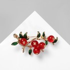 Брошь «Рябина» ягоды, красно-зелёная в золоте - Фото 1