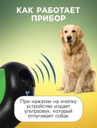 Отпугиватель собак LRI-56, ультразвуковой, до 15 метров, от USB, 750 мА/ч, зелёный - Фото 3