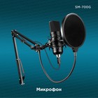 Микрофон проводной Оклик SM-700G 2.5м черный - Фото 2
