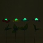 Декор садовый "Роза", светящийся в темноте, штекер 40 см, микс цвета - Фото 6