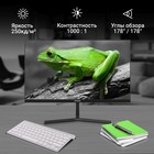 Монитор Digma 23.8" Progress 24P404F черный IPS LED 5ms 16:9 HDMI M/M матовая 250cd 178гр/1 102946 - фото 51525971 Монитор Digma 23.8" Progress 24P404F черный IPS LED 5ms 16:9 HDMI M/M матовая 250cd 178гр/1 102946 - фото 51525971