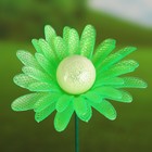 Декор садовый "Гербера", светящийся в темноте, штекер 40 см, микс цвета - Фото 2