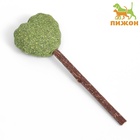 Игрушка для кошек из кошачьей мяты «Сердце» на палочке из мататаби, 13 см - Фото 2