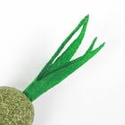 Игрушка для кошек из кошачьей мяты «Морковка», 5 см - Фото 4