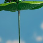 Декор садовый "Оса на листочке", штекер 60 см, микс цвета - Фото 4