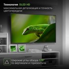 Телевизор LED Digma 43" DM-LED43MBB21 черный FULL HD 60Hz DVB-T DVB-T2 DVB-C DVB-S DVB-S2 U 102953 - фото 51597002 Телевизор LED Digma 43" DM-LED43MBB21 черный FULL HD 60Hz DVB-T DVB-T2 DVB-C DVB-S DVB-S2 U 102953 - фото 51597002