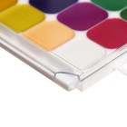 УЦЕНКА Акварель «Луч» Классика, 24 цвета, с кистью - Фото 2