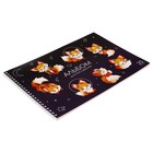 Альбом для рисования А4, 20 листов на гребне "Лисички", обложка мелованный картон, блок офсет 100 г/м² - Фото 2