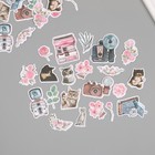 Наклейки для творчества "Коты, розовые цветы и фото" 3,5х5 см набор 40 шт 9,4х8,4х0,5 см - фото 320960347