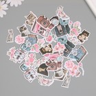 Наклейки для творчества "Коты, розовые цветы и фото" 3,5х5 см набор 40 шт 9,4х8,4х0,5 см - Фото 4