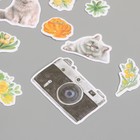 Наклейки для творчества "Коты, жёлтые цветы и фото" 3,5х5 см набор 40 шт 9,4х8,4х0,5 см - Фото 2