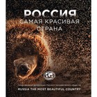 Россия самая красивая страна. Фотоконкурс 2023 - фото 293037306