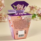 Конфеты «8 марта» в коробке-духи, 60 г (комплект 2 шт) - фото 23551128