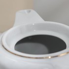 УЦЕНКА Сервиз чайный 12 предметов голубка "Бомонд" (отсутсвует одна чайная пара) 10303334