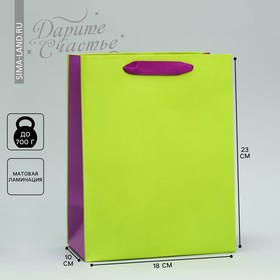 Пакет подарочный двухцветный, упаковка, «Салатовый-сиреневый», MS 18 х 23 х 10 см