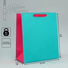 Пакет подарочный двухцветный, упаковка, «Розовый-голубой», ML 23 х 27 х 11.5 см - фото 320962254