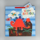 Пакет подарочный, упаковка, «С Днём рождения!», 38 х 38 х 21 см - фото 8731895