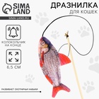 Дразнилка с игрушкой «Краснопёрка», 6.5 см - Фото 1