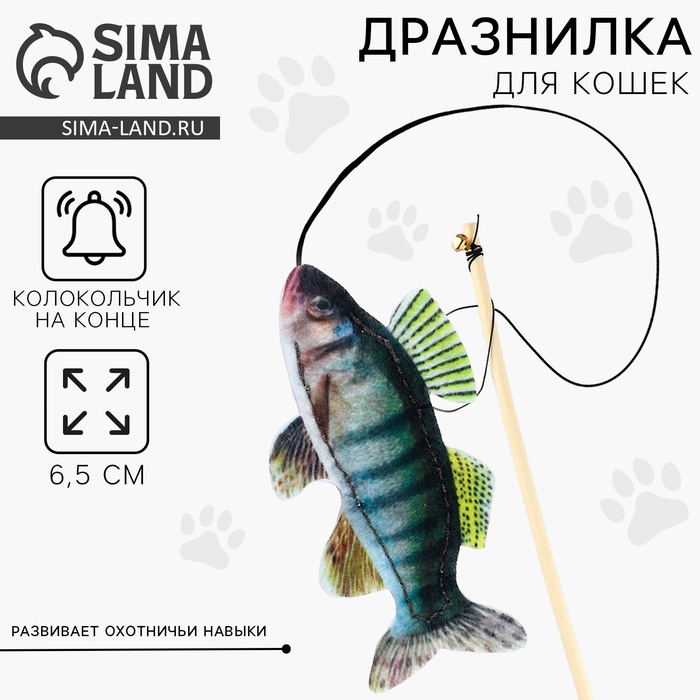 Дразнилка с игрушкой «Судак», 6.5 см - Фото 1