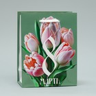 Пакет подарочный ламинированный, упаковка, «Тюльпаны», S 12 х 15 х 5.5 см - фото 320962563
