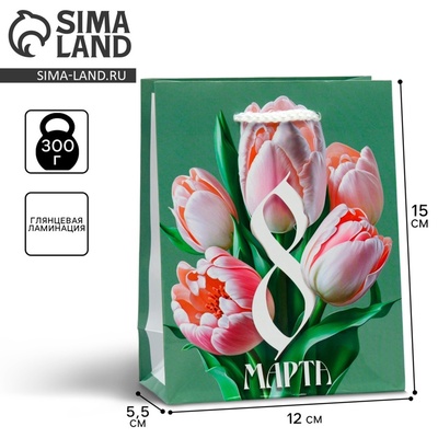 Пакет подарочный ламинированный, упаковка, «8 марта», S 12×15×5.5 см