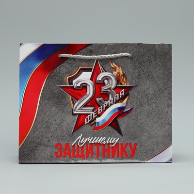 Пакет подарочный ламинированный, упаковка, «С 23 февраля», MS 23×18×8 см