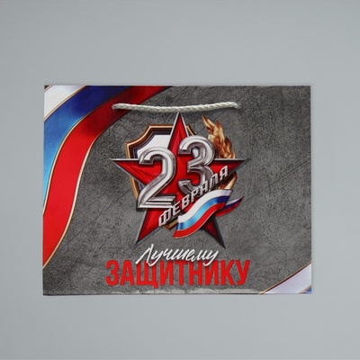 Пакет подарочный ламинированный, упаковка, «С 23 февраля», MS 23×18×8 см