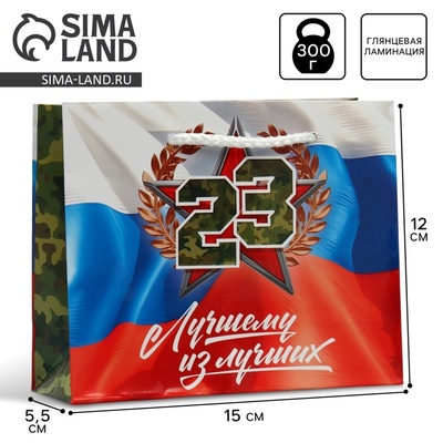 Пакет подарочный ламинированный, упаковка, «С 23 февраля», S 15×12×5.5 см