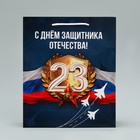 Пакет подарочный ламинированный, упаковка, «Защитник Отечества», ML 21 х 25 х 8 см - Фото 2