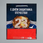 Пакет подарочный ламинированный, упаковка, «Защитник Отечества», ML 21 х 25 х 8 см - Фото 7